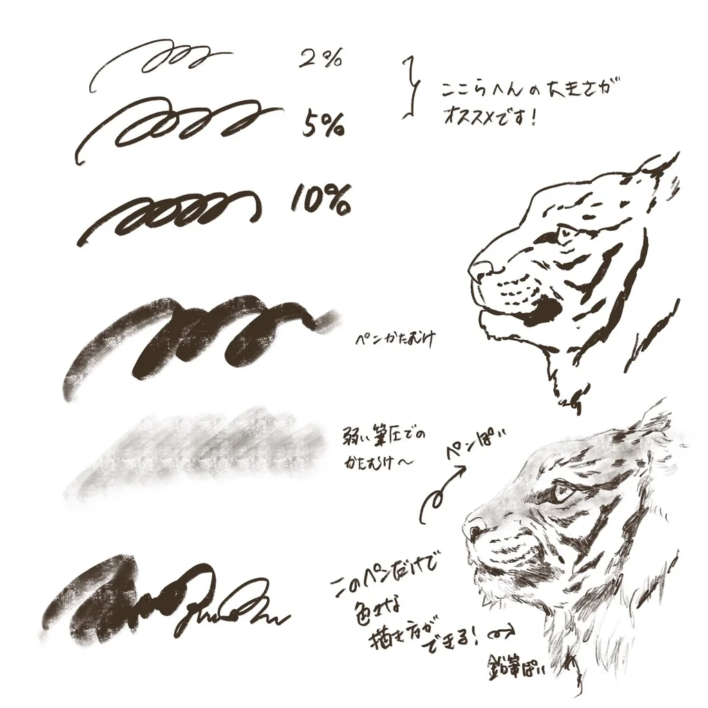 1760637575427_541-pen-and-pencil-for-lineart-2.webp