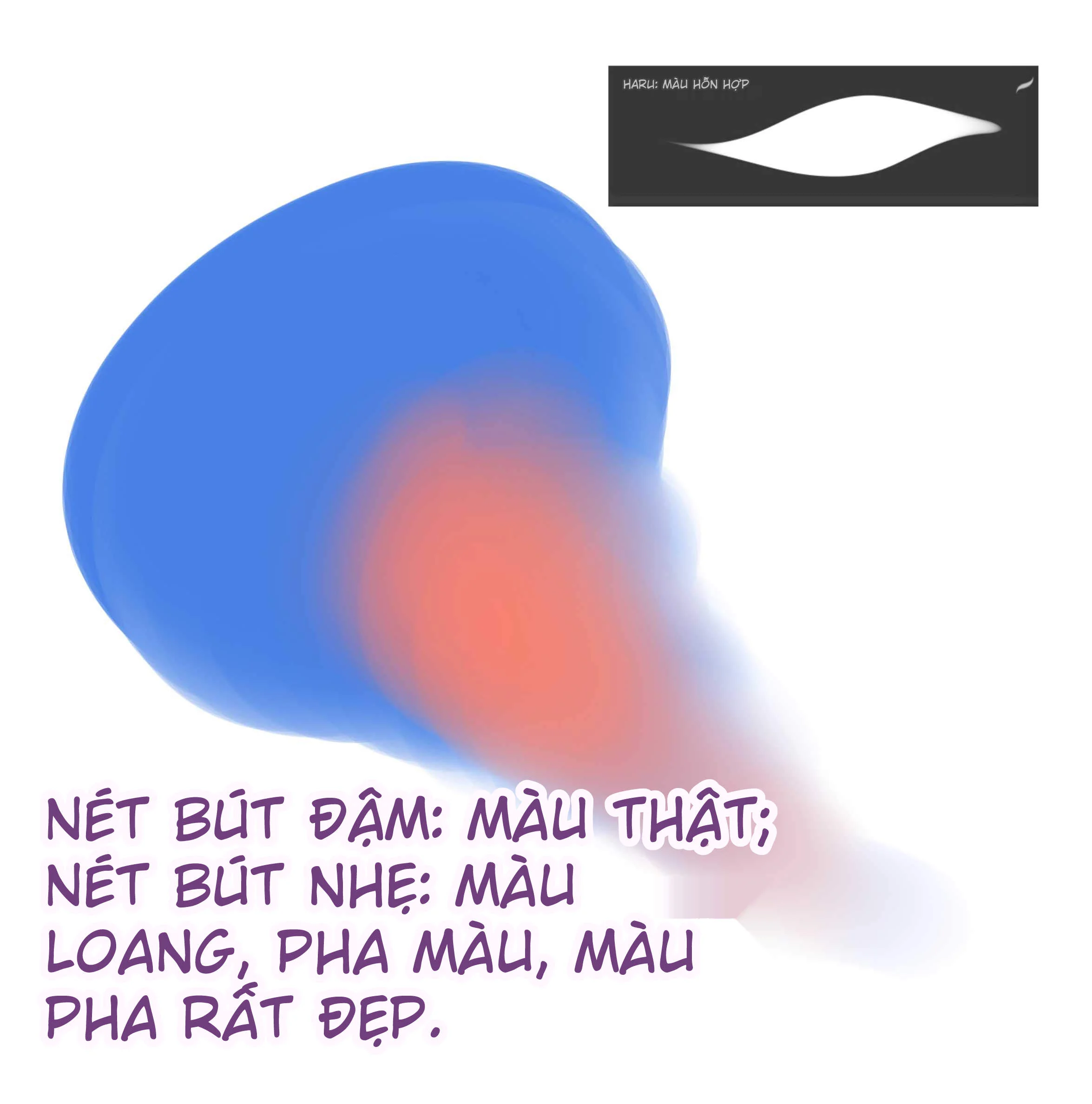 1764413784889_8.webp 1764413784889_8.webp