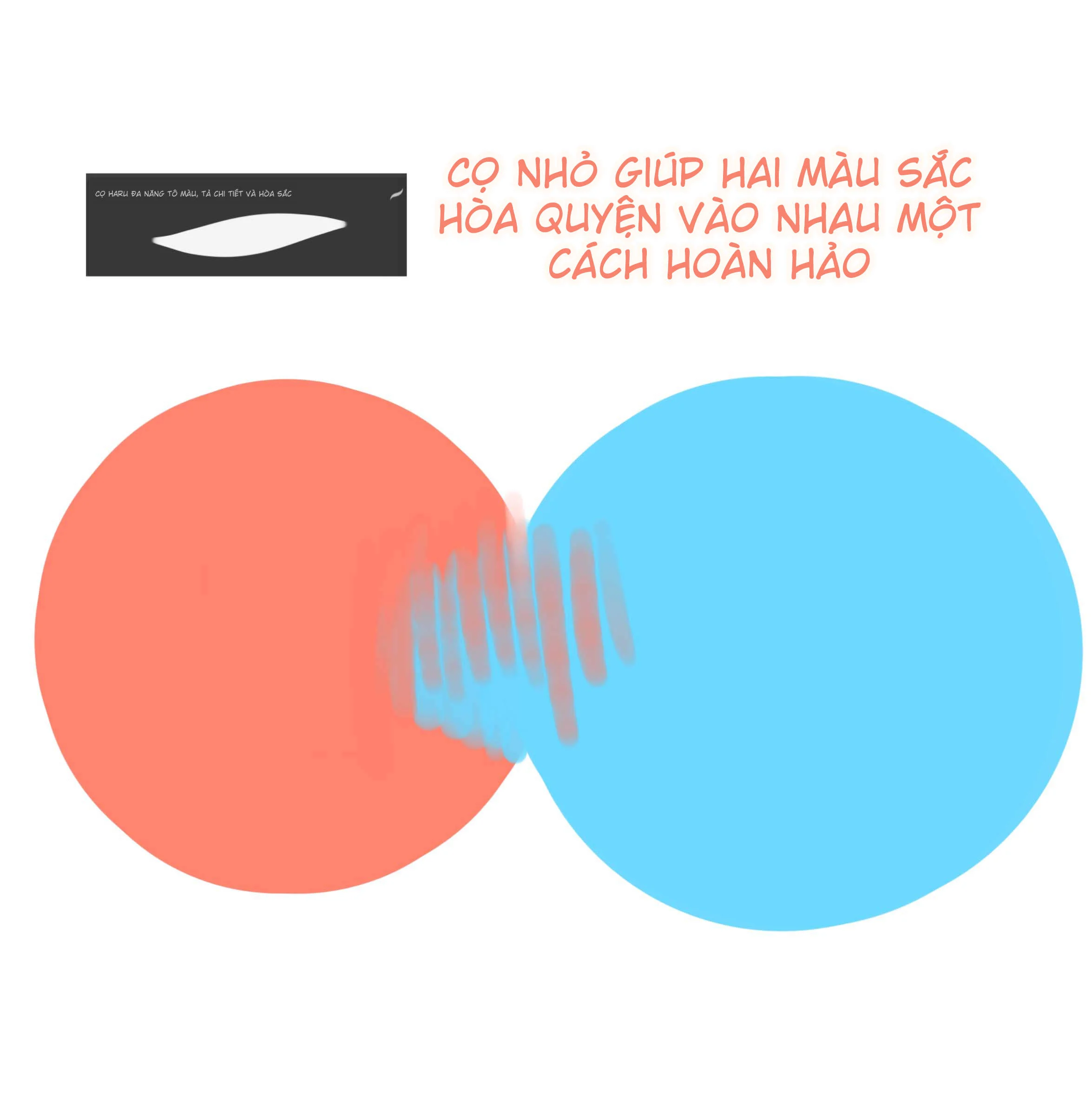 1764413786150_9.webp 1764413786150_9.webp